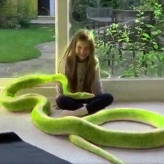 raksta