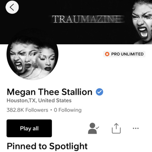 Megna Thee Stallion’s avatar