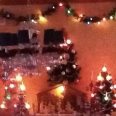 **MoverBoy00004930000**