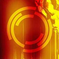 Symmetry-Recordings