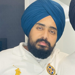 Harman Bajwa