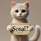 Sosal