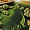Coastal Greens