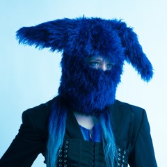 hasenhotline