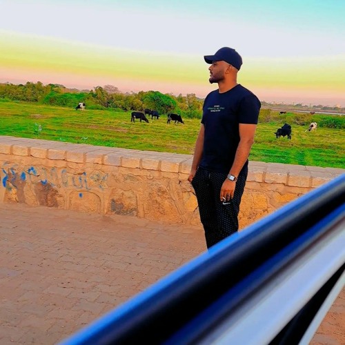 محمد الجزار ي زول