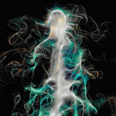 FOREVER TRIP
