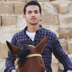 امير دندن العروض المباشرة ارب ايدل 2017