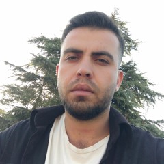 Ali Bartık
