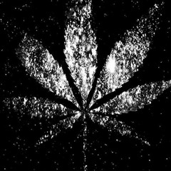 OmenXIII