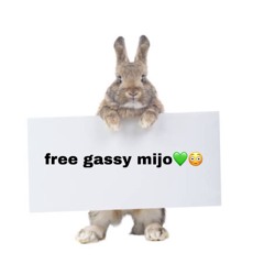 GASSY