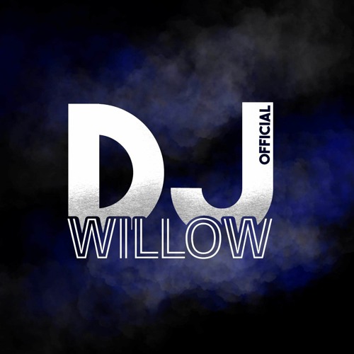 DJ WILLOW OFFICIAL’s avatar