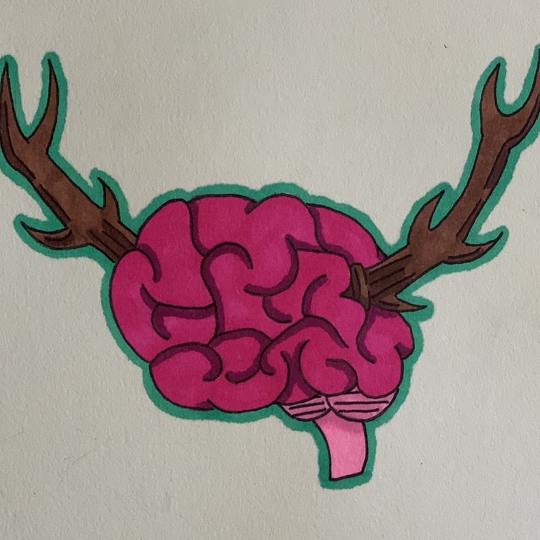 Braindeer’s avatar