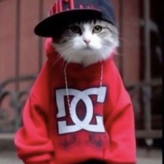 cleoflai