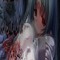 ♡.#2562