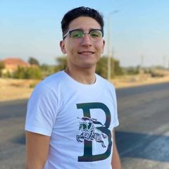 sherif elhadidy