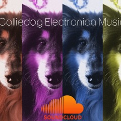 Colliedog Electronica Music