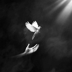 النَّدى ..❤️