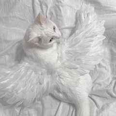 < >