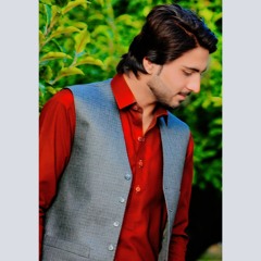 Jhanzaib Shehzada