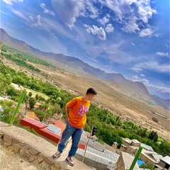 Alireza T
