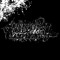 Assleepbylamplight