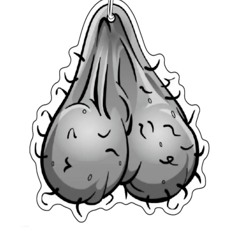 :: :INS BRUNZFLEISCH