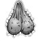 :: :INS BRUNZFLEISCH