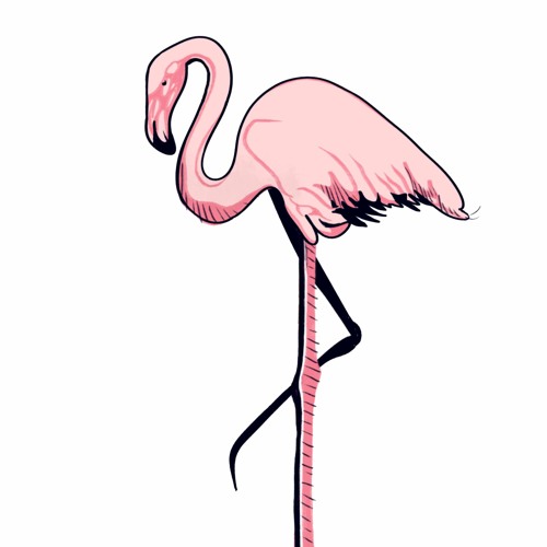 Everything's Pink
