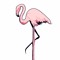 Flamingos