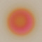 sullyb