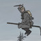HANS