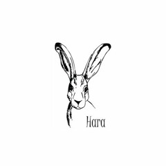 Hara Music