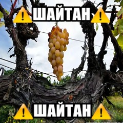 шайтан