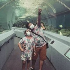 ดาวโหลด