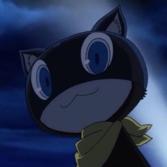 Zorro