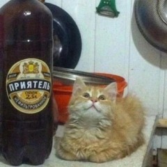 akmat
