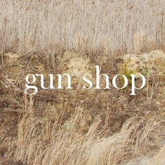 gun shop