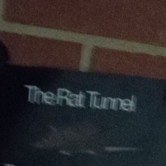 Rat Tunnel Inhabitant
