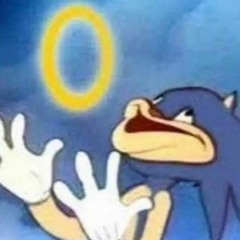 SonicMeme_lord