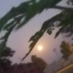 Javed Akhtar Siddiqui