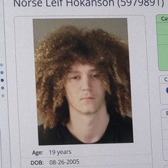 norsehok