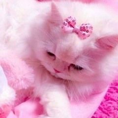 ♥︎