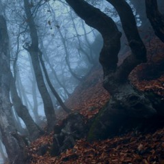 Embers of Autumn