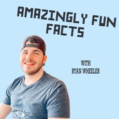 AmazinglyFunFacts