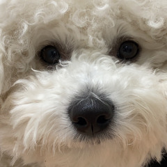 부진부진