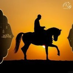 محمود البلقاسي