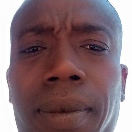 Tinnan maga amadou Diarra’s avatar