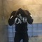 LEYN WAVE
