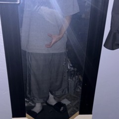 2.65dl