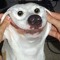smilling